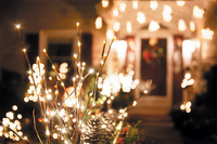 © Adobe Stock © Adobe Stock