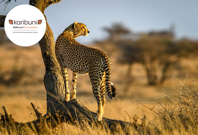 © Unsplash - Sammy Wong © Unsplash - Sammy Wong