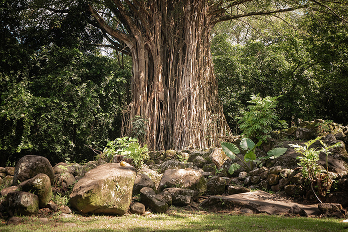 © Tahiti Tourisme © Tahiti Tourisme