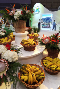 © Travel One Portugal © Travel One Portugal