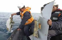 Charm El Cheikh : le malheur et l'hystérie Charm El Cheikh : le malheur et l'hystérie