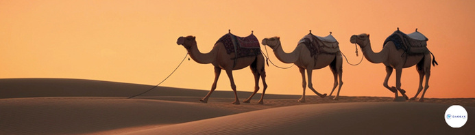 © Canva by Alamedia © Canva by Alamedia