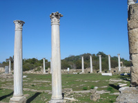 Site archéologique de Salamine © Creative Tours