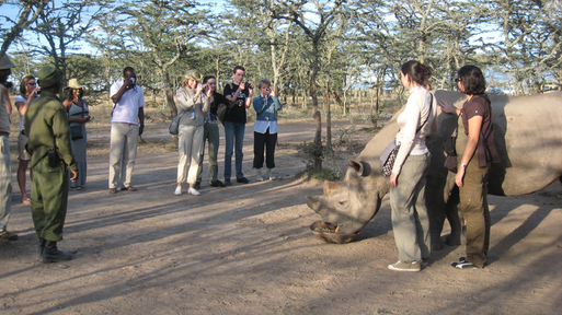 Quand Donatello, Virgin et TMS défendent le Kenya… Quand Donatello, Virgin et TMS défendent le Kenya…