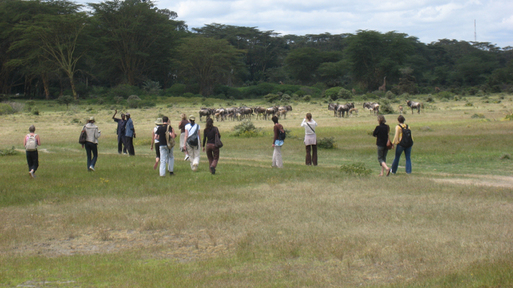 Quand Donatello, Virgin et TMS défendent le Kenya… Quand Donatello, Virgin et TMS défendent le Kenya…