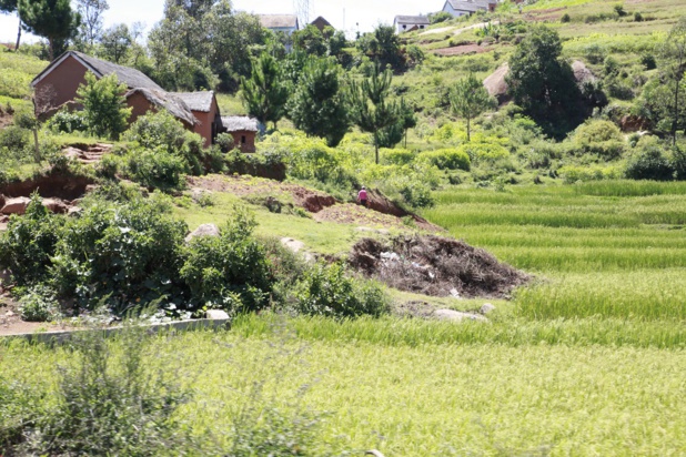 Photo : Chantha Chea Photo : Chantha Chea