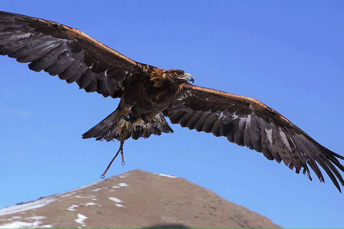 © DMD Mongolie © DMD Mongolie