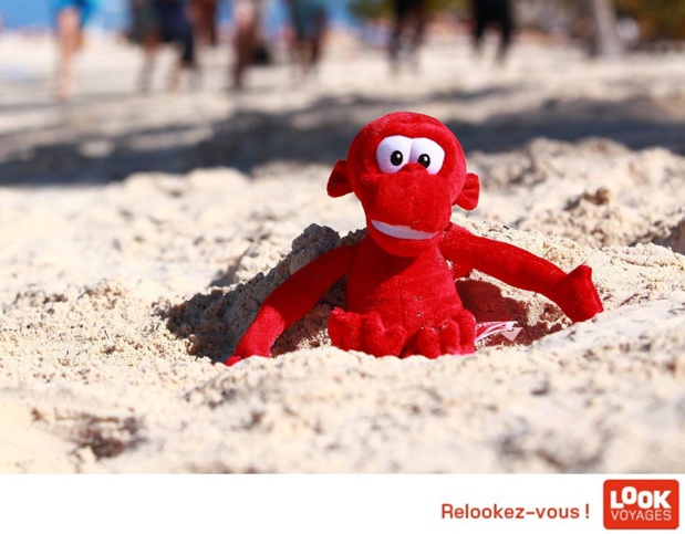 Et tant pis, si tôt ou tard, Look Voyages se trouve à plus ou moins long terme, avalée par un TUI, tel le boa constrictor avalant un bœuf… sans s'étrangler. Faut avoir du coffre quand même… Le singe de Look va devoir faire bien des galipettes s'il veut sauver ses fesses… - DR Et tant pis, si tôt ou tard, Look Voyages se trouve à plus ou moins long terme, avalée par un TUI, tel le boa constrictor avalant un bœuf… sans s'étrangler. Faut avoir du coffre quand même… Le singe de Look va devoir faire bien des galipettes s'il veut sauver ses fesses… - DR