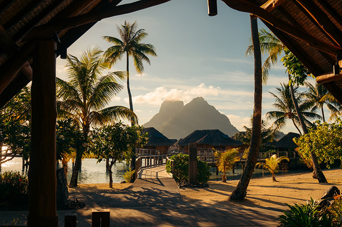 © Pedro Carreira © Pedro Carreira