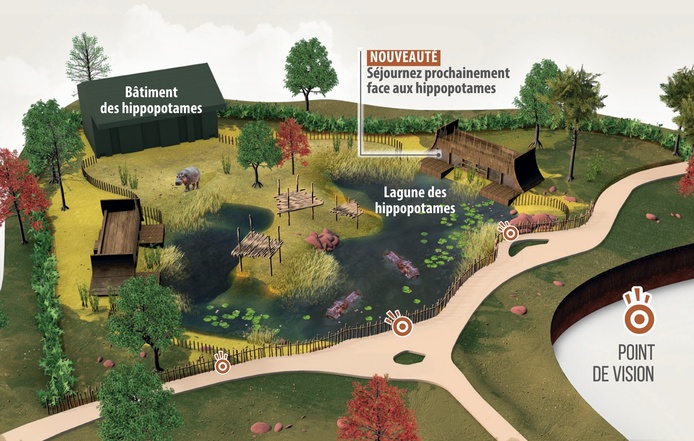 Le Zoo de La Flèche ouvrira, à l'automne 2026, 4 nouveaux lodges immersifs face aux hippopotames - Illustration Zoo de la Flèche