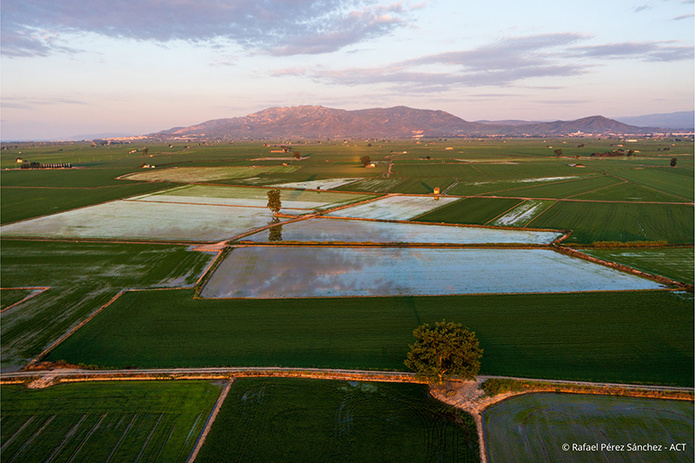 Terres de l’Èbre © Rafael Pérez Sánchez - ACT Terres de l’Èbre © Rafael Pérez Sánchez - ACT