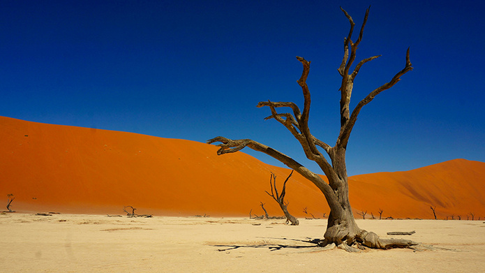 Désert du Namib © Unsplash - Sean Robertson