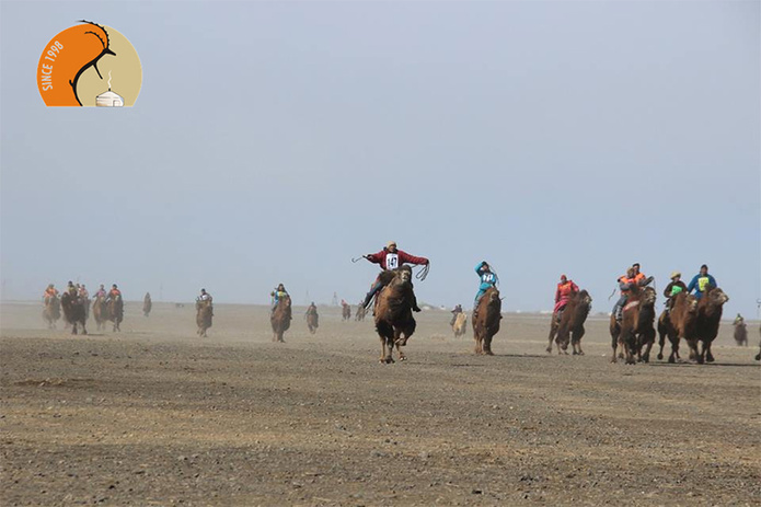 © DMD Mongolie © DMD Mongolie