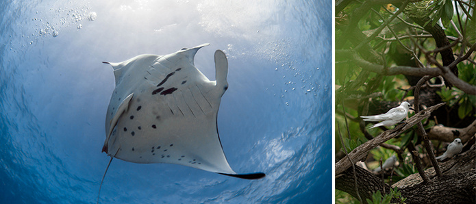 © Tahiti Tourisme / © Pearl Resorts of Tahiti