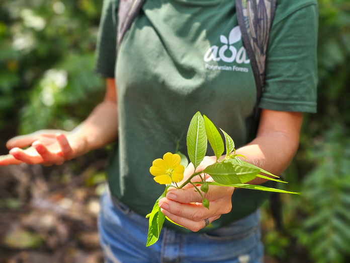 © Heiata MAI-LEBLOND - Moana Voyages © Heiata MAI-LEBLOND - Moana Voyages