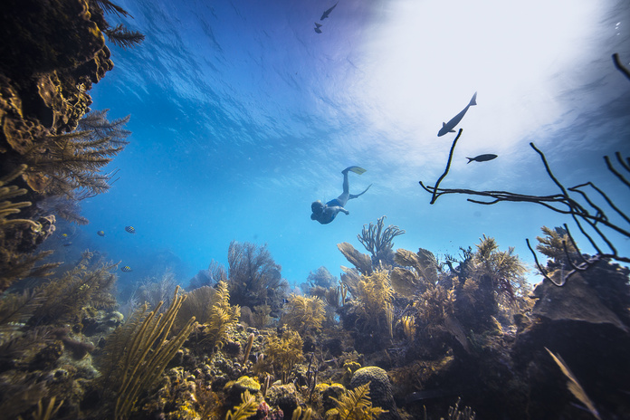 Le Belize, repaire des surfeurs, abrite la plus grande barrière de corail après l’Australie. @belize tourism board/AlexandreSocci