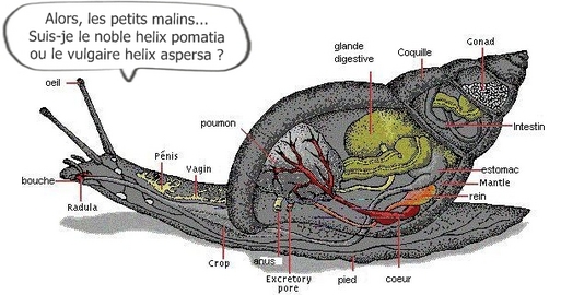 SNCF : attention, une ''bavure'' peut en cacher une autre... SNCF : attention, une ''bavure'' peut en cacher une autre...