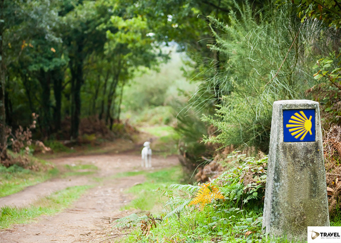 © Dtravel by Canva © Dtravel by Canva