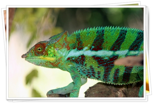 Air Madagascar : 3 rotations hebdo entre Paris et Tananarive Air Madagascar : 3 rotations hebdo entre Paris et Tananarive