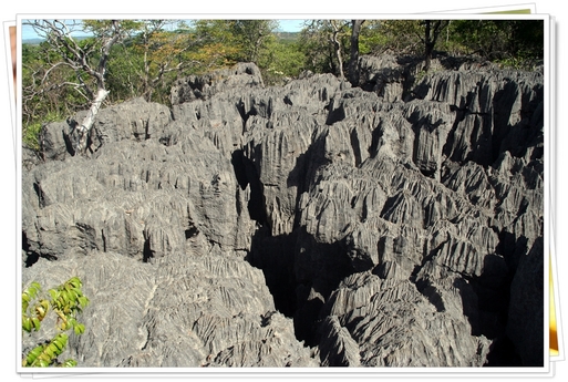 Air Madagascar : 3 rotations hebdo entre Paris et Tananarive Air Madagascar : 3 rotations hebdo entre Paris et Tananarive
