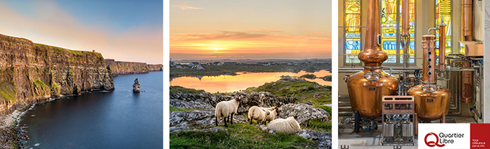 © Quartier Libre by Canva © Quartier Libre by Canva