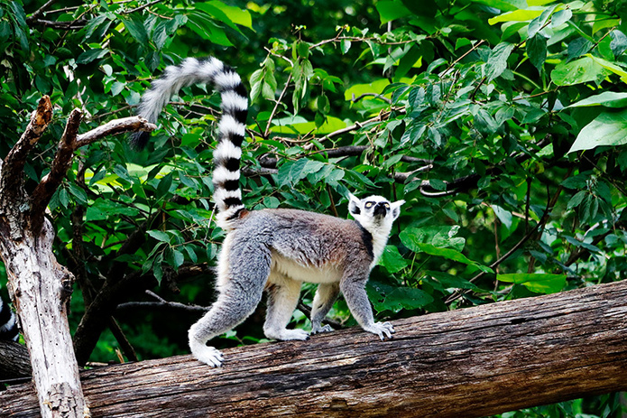 © Unsplash - Amy Reed
