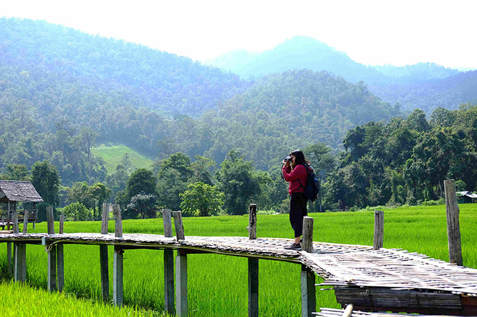© Cocorattanakorn - Freepik © Cocorattanakorn - Freepik