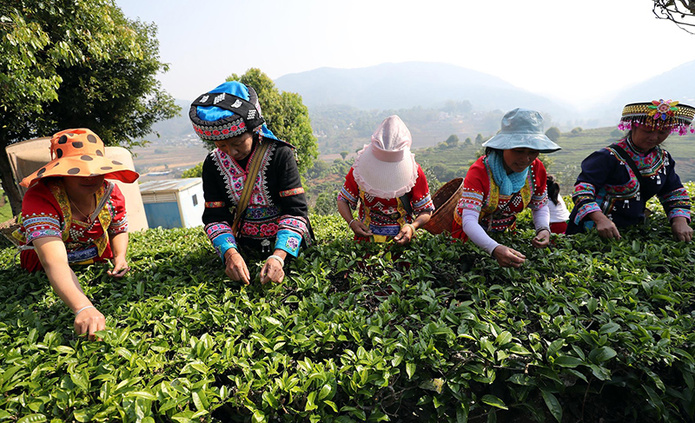 © Zhang Wei / China Daily © Zhang Wei / China Daily
