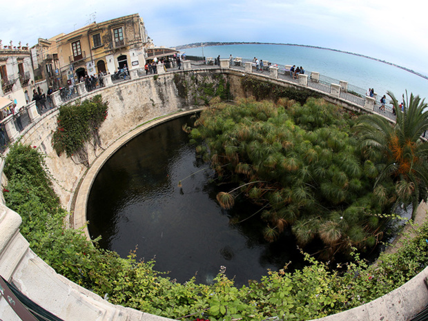 La fontaine d'Aréthuse, en référence à la mythologie grecque. DR : G.S La fontaine d'Aréthuse, en référence à la mythologie grecque. DR : G.S
