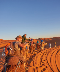 Grand choix d'excursions © shutterstock
