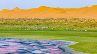 Minqin, Chine © DTH Travel Minqin, Chine © DTH Travel