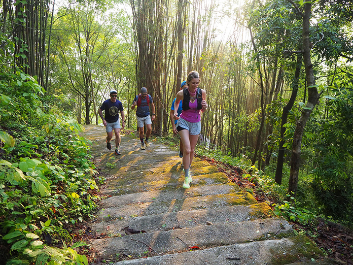 Trail running dans les forêts de bambous de Chiang Mai, Thaïlande — l'une des régions phares du programme Easia Active. © Easia Travel Trail running dans les forêts de bambous de Chiang Mai, Thaïlande — l'une des régions phares du programme Easia Active. © Easia Travel