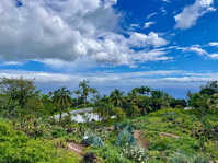 Conservatoire Botanique de Mascarin, à Saint Leu (Ouest) © Maxime BOUDIN-DELMAS, Connections Réunion