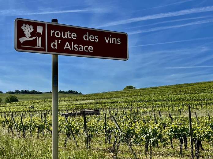 Sur la route des vins d'Alsace. PB
