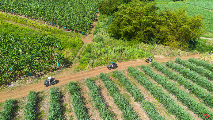 Randonnée en buggy © CMT Tifox Bruno