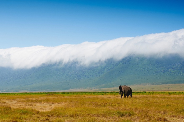 Certains sites, telle que la&nbsp;zone de conservation&nbsp;de&nbsp;Ngorongoro, en Tanzanie, souhaitent être rayés de la&nbsp;liste&nbsp;du patrimoine mondial de l'Unesco - Depositphotos.com, LuaAr