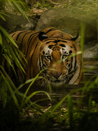 © Unsplash - Harshit Suryawanshi © Unsplash - Harshit Suryawanshi