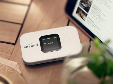 Un boîtier wifi 4G unique au prix de 99,95€ et un crédit data valable dans plus de 45 pays (c) bitebird