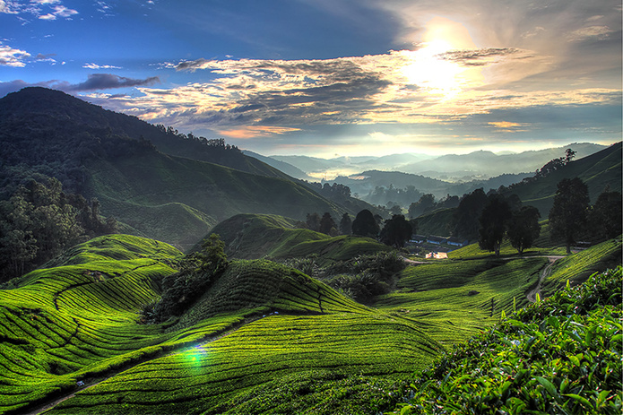 @ Canva by Coleong from Getty Images