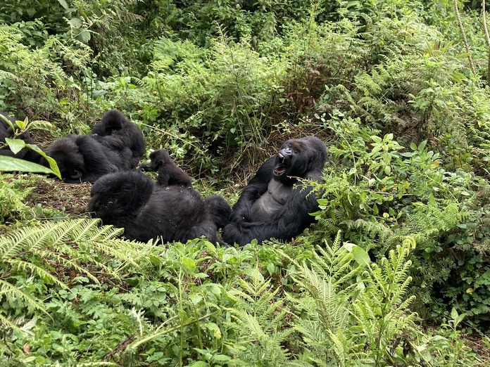 Le Rwanda, un tourisme à haute altitude - Photo JFR