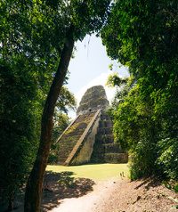 Site de Tikal © Terra Guatemala Site de Tikal © Terra Guatemala