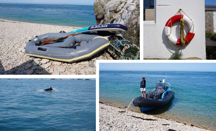 Excurdion vers l'archipel "Les Ecréhous". Naviguer avec les dauphins et se baigner dans les eaux claires. Photo : C.Hardin Excurdion vers l'archipel "Les Ecréhous". Naviguer avec les dauphins et se baigner dans les eaux claires. Photo : C.Hardin
