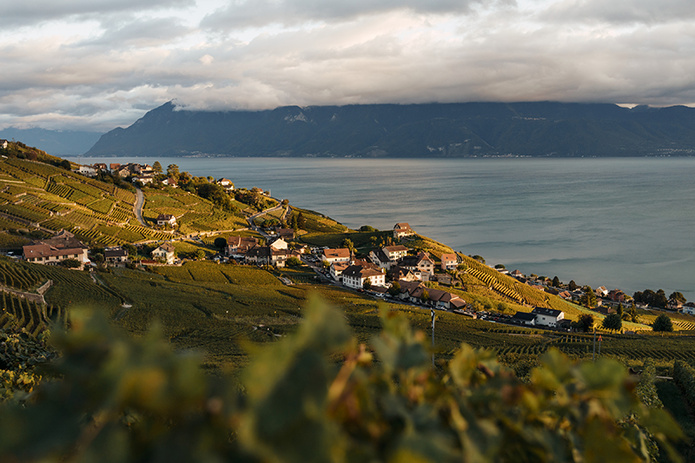 Les vignobles de Lavaux, près de Montreux © Switzerland Tourism / Lorenz Richard Les vignobles de Lavaux, près de Montreux © Switzerland Tourism / Lorenz Richard