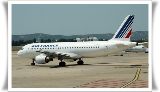 Face au baril qui flambe, Air France se prépare à ''lutter pour sa survie''