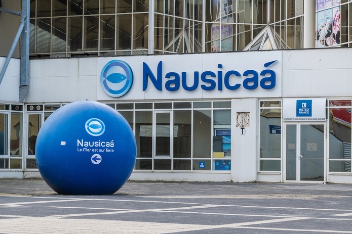 Nausicaá a accueilli 298 060 visiteurs en juillet et août 2026 - Depositphotos.com, Pixavril
