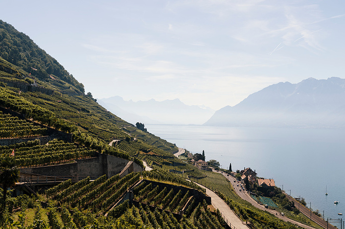 Vue sur le lac Léman à Lavaux © Suisse Tourisme / Lorenz Richard