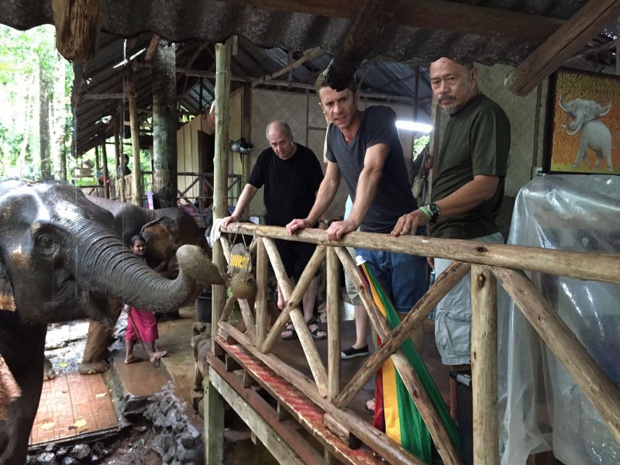 Dans la réserve d'éléphants à Koh Chang - DR : J.-P.C.