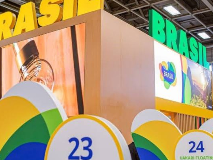 Brésil : GOL et TAP renforcent la desserte depuis la France et l’Europe