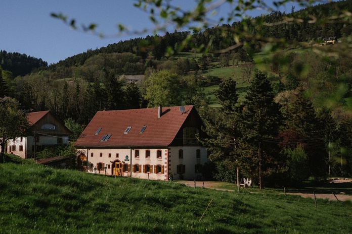 Le Groupe LK a inauguré le gîte Le Bois Dormant, situé dans la vallée de Kaysersberg, en septembre 2026 - Photo : cnographe