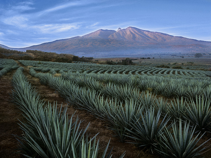 © Ministère du Tourisme de Jalisco © Ministère du Tourisme de Jalisco